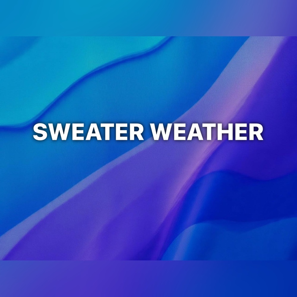 Sweater Section - image 1